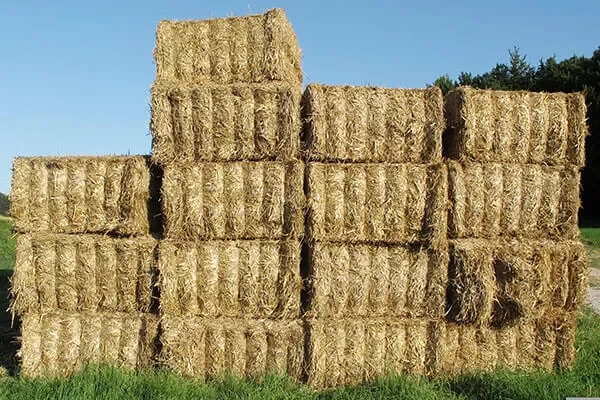 Baler-twine-intro Baler-twine-intro
